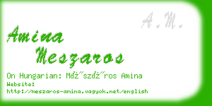 amina meszaros business card